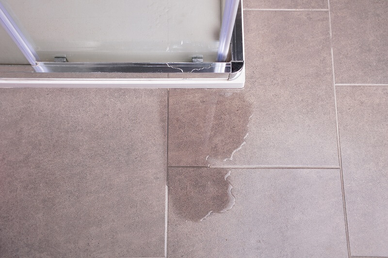 Causes Of Leaking Showers